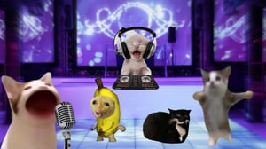 This is the Avatar Image for the Happy Happy Cat/Banana Cat AI Voice and Text to Speech Generator